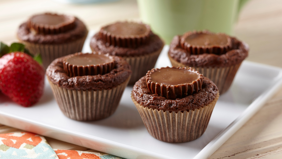 Chocolate Peanut Butter Bites